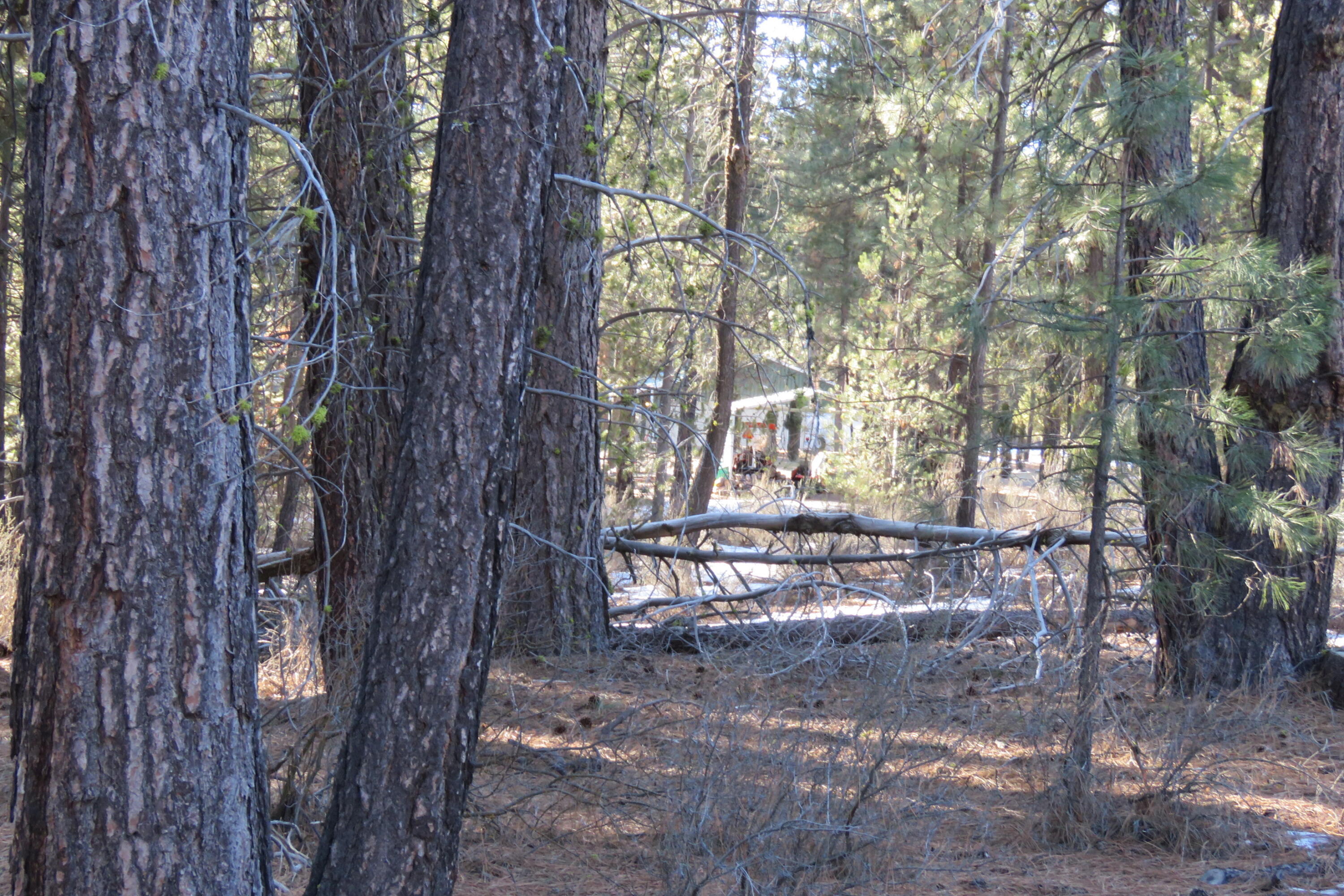 Woodland Park - Land