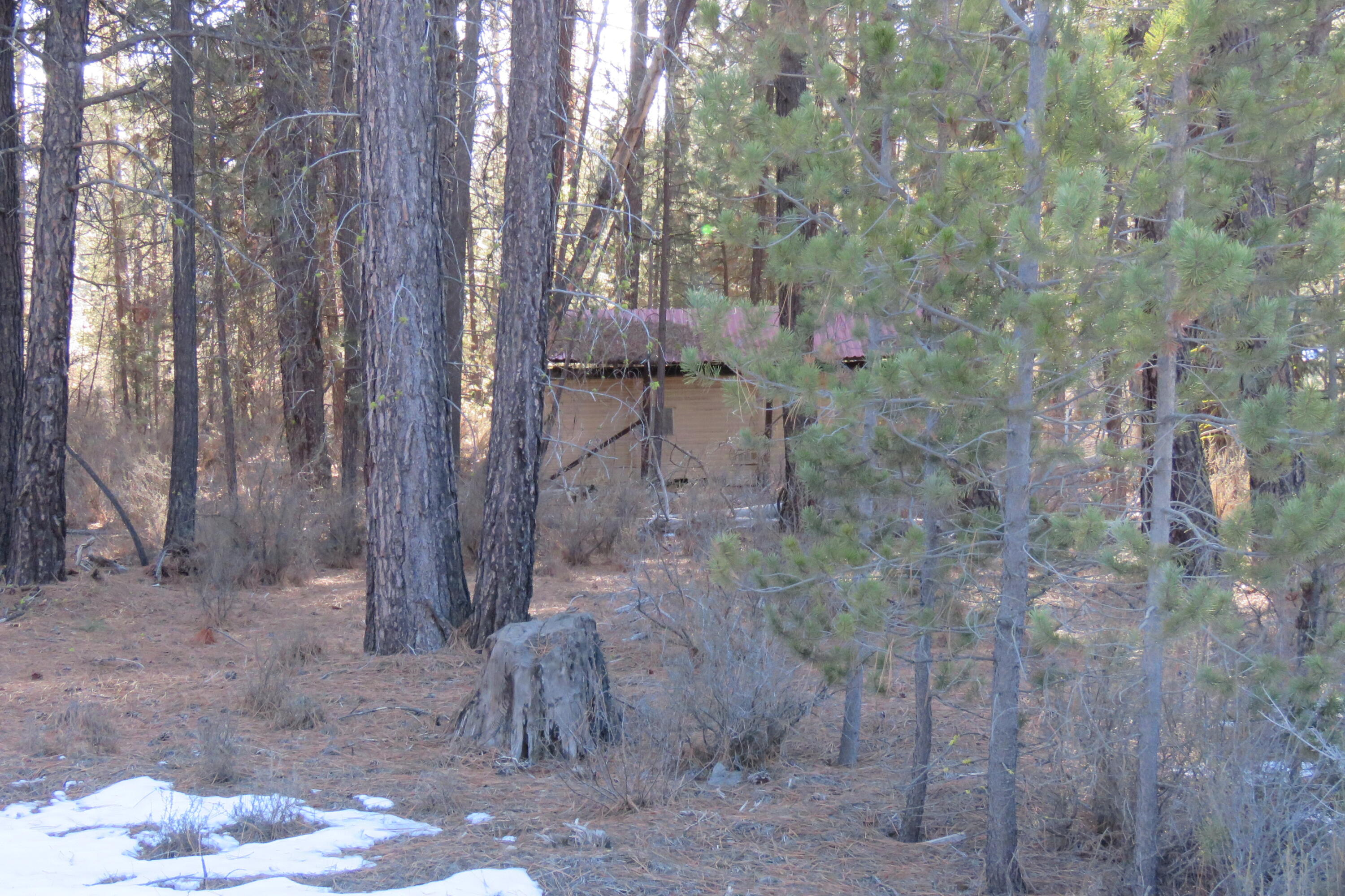 Woodland Park - Land