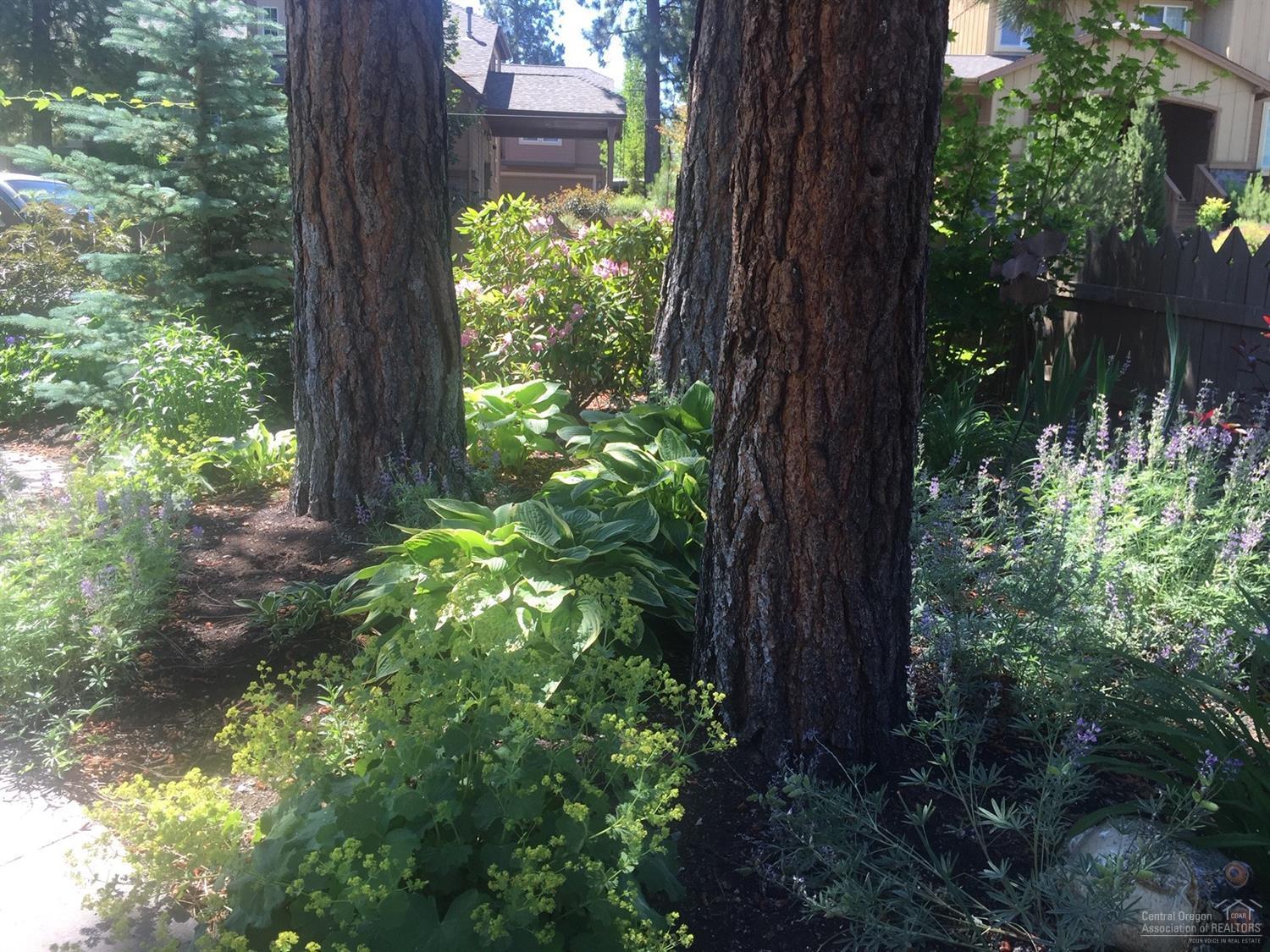 Parks At Broken Top - Residential