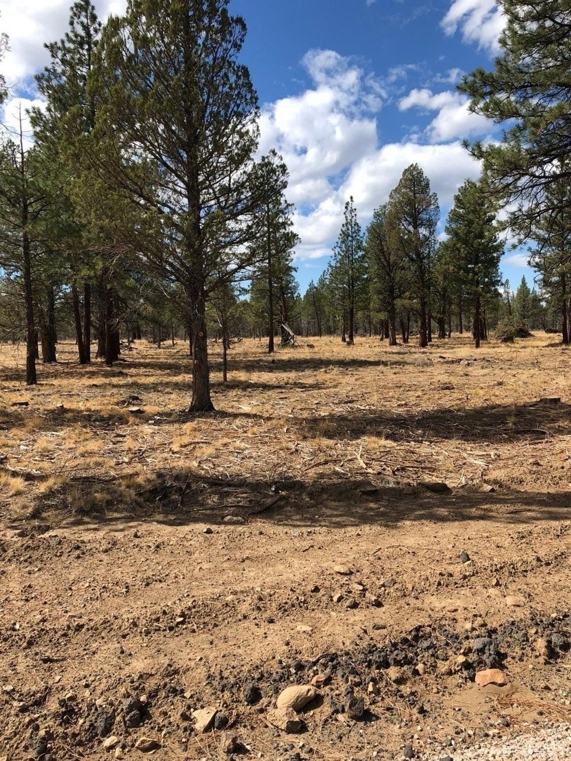 Squaw Creek Canyon - Land