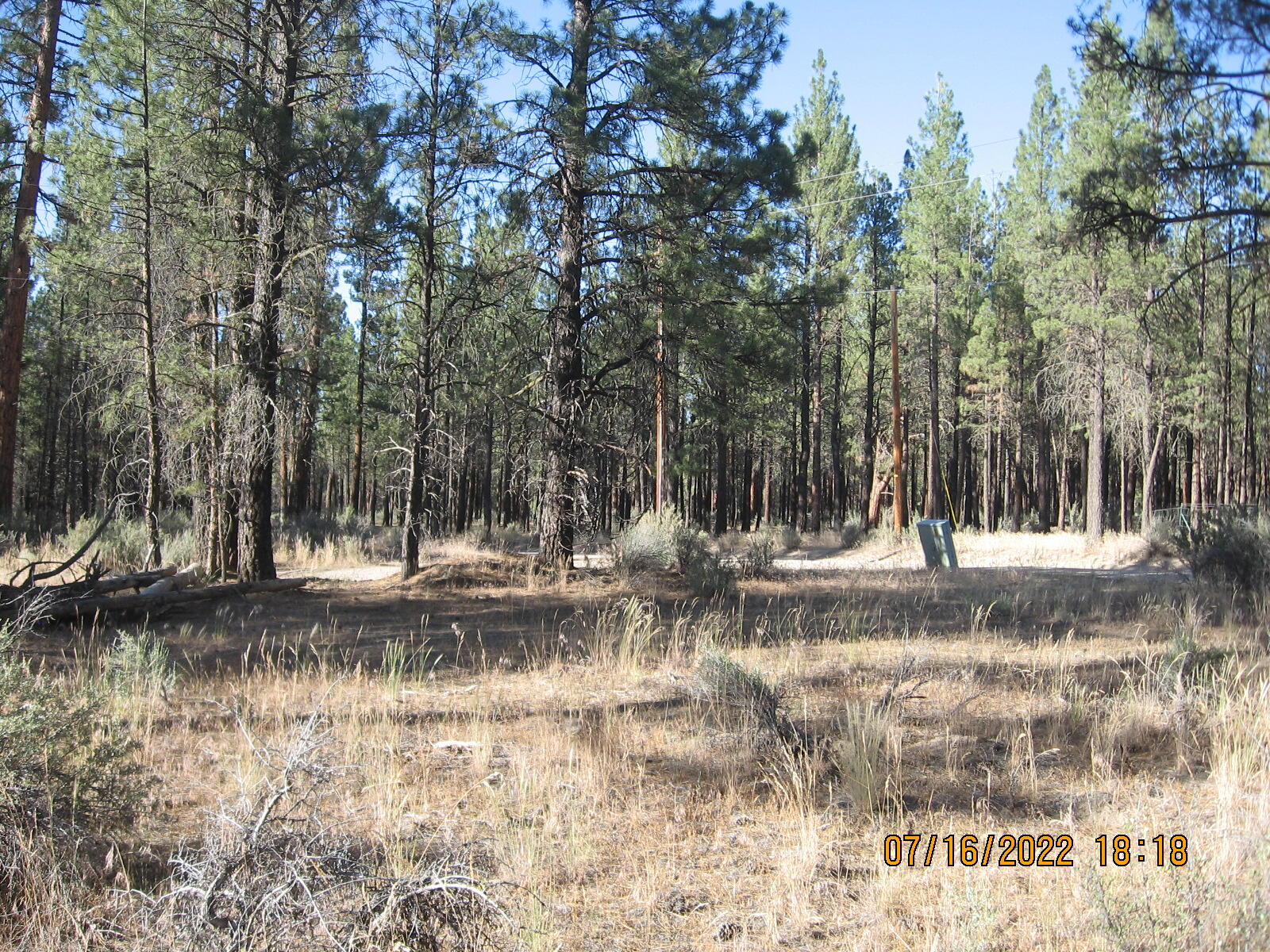 Klamath Forest Estates - Land