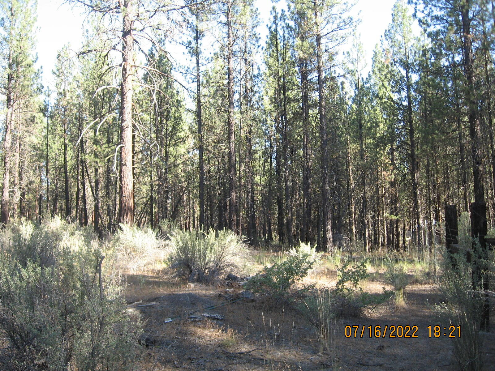 Klamath Forest Estates - Land