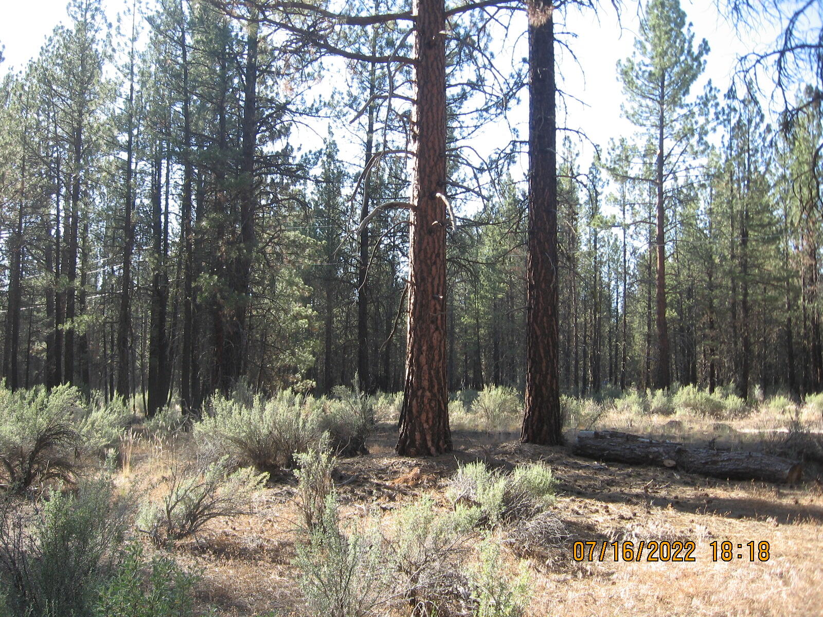 Klamath Forest Estates - Land