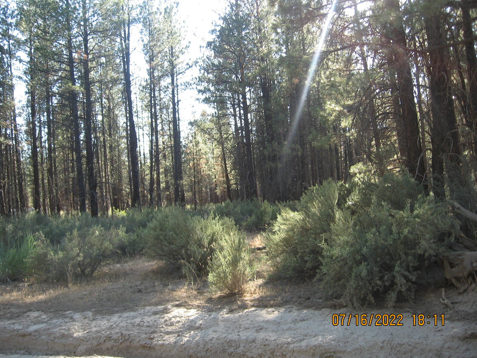 Klamath Forest Estates - Land
