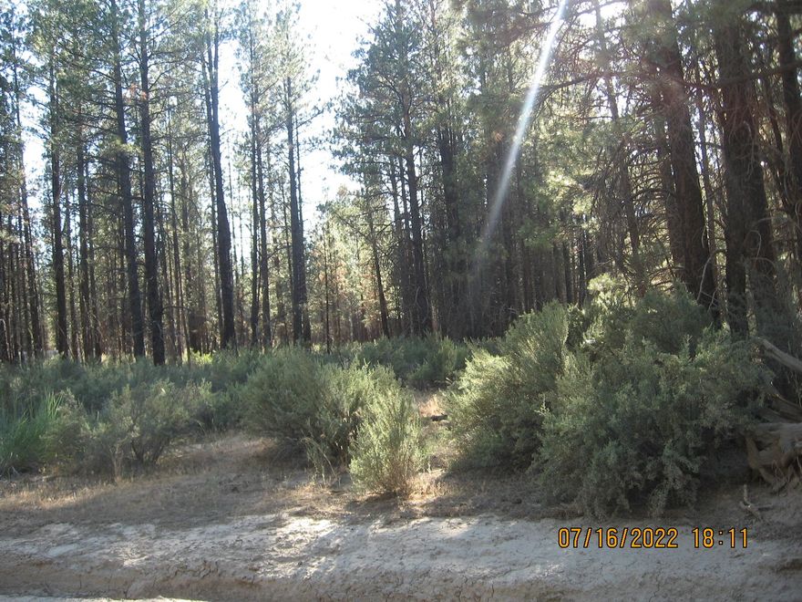 Nicely treed lot on the SW corner of the intersection of Gray Wolf Lane and Klamath Forest Drive in Klamath Forest Estates!  Power is at the street.  These don't come up too often... Close to National Forest and lots of wildlife.  Priced to sell!