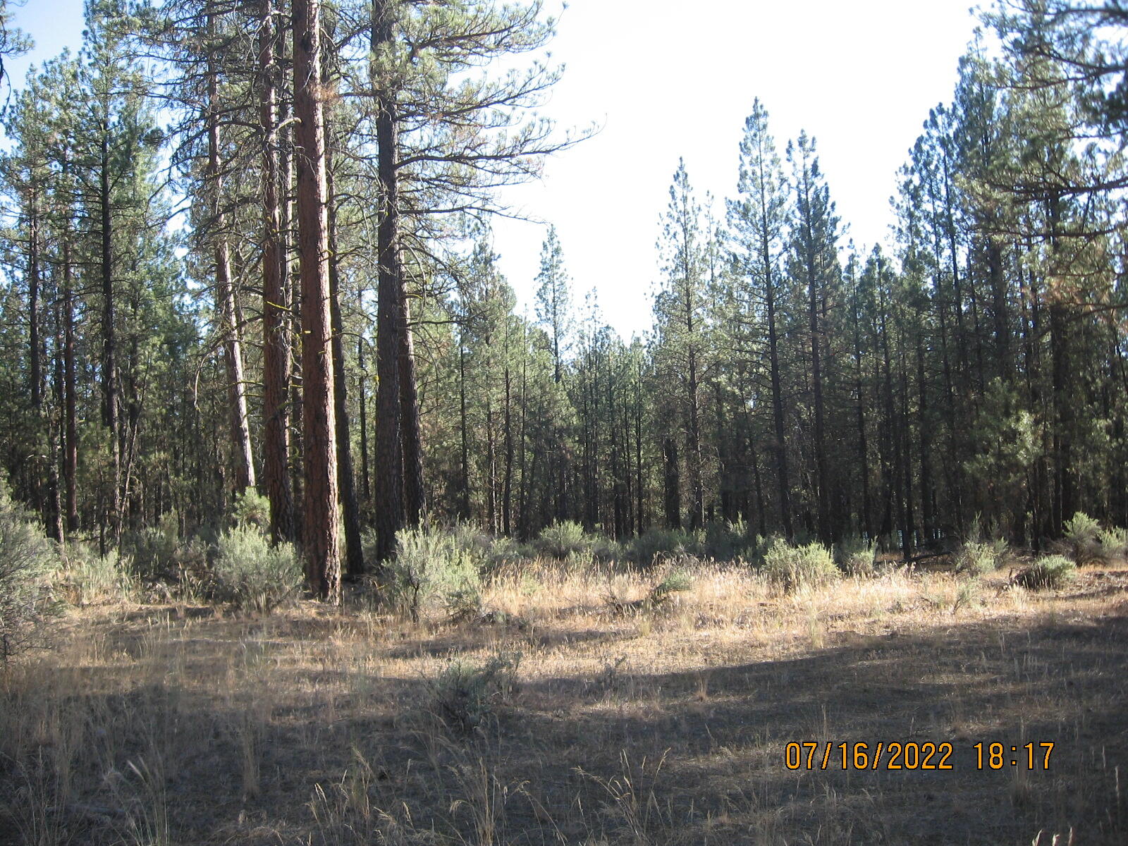 Klamath Forest Estates - Land
