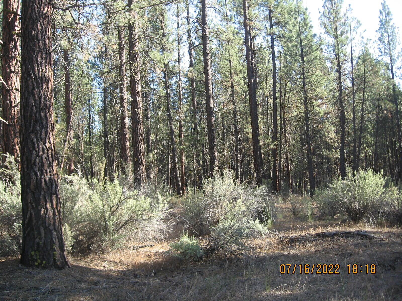 Klamath Forest Estates - Land