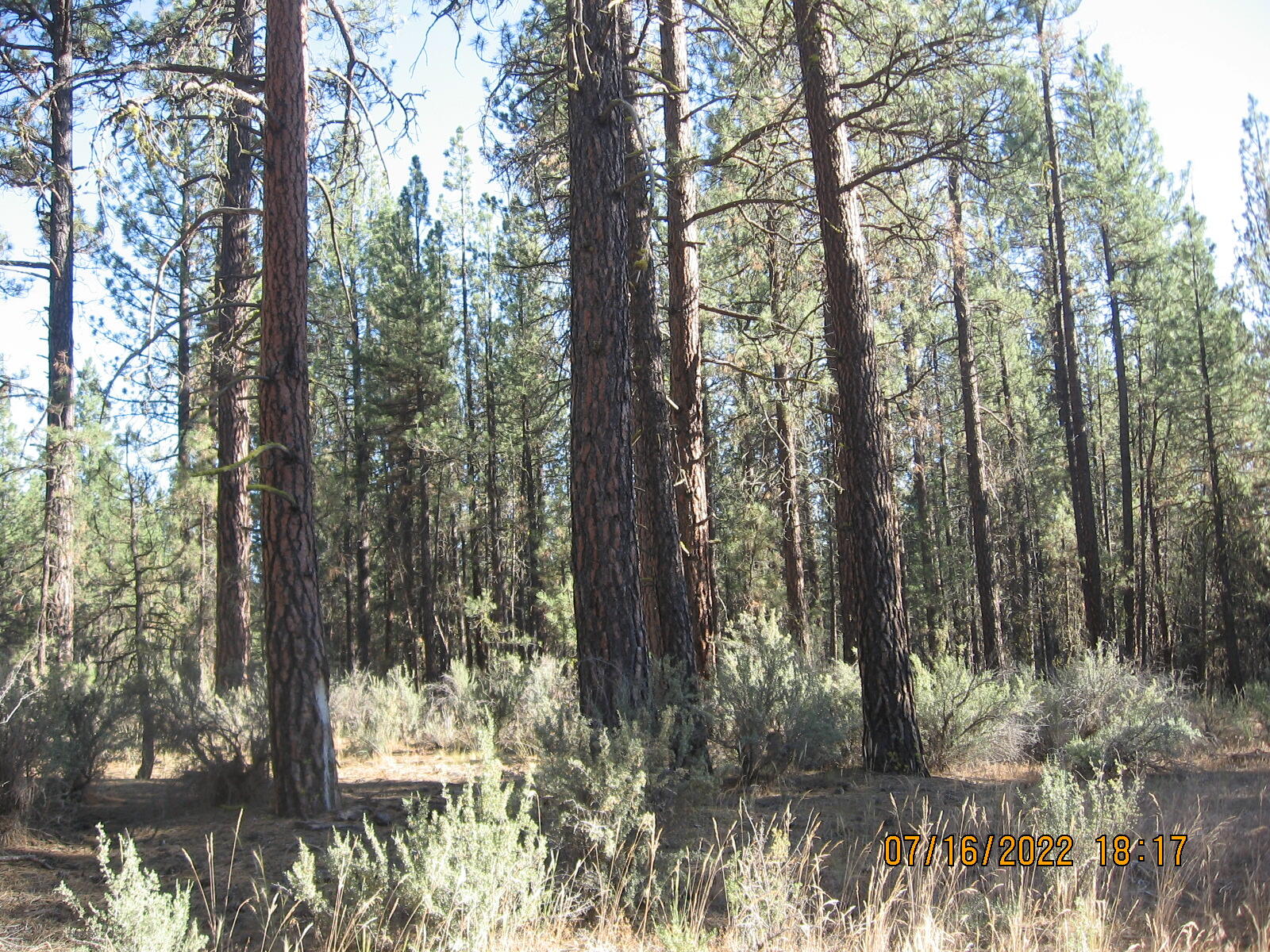 Klamath Forest Estates - Land