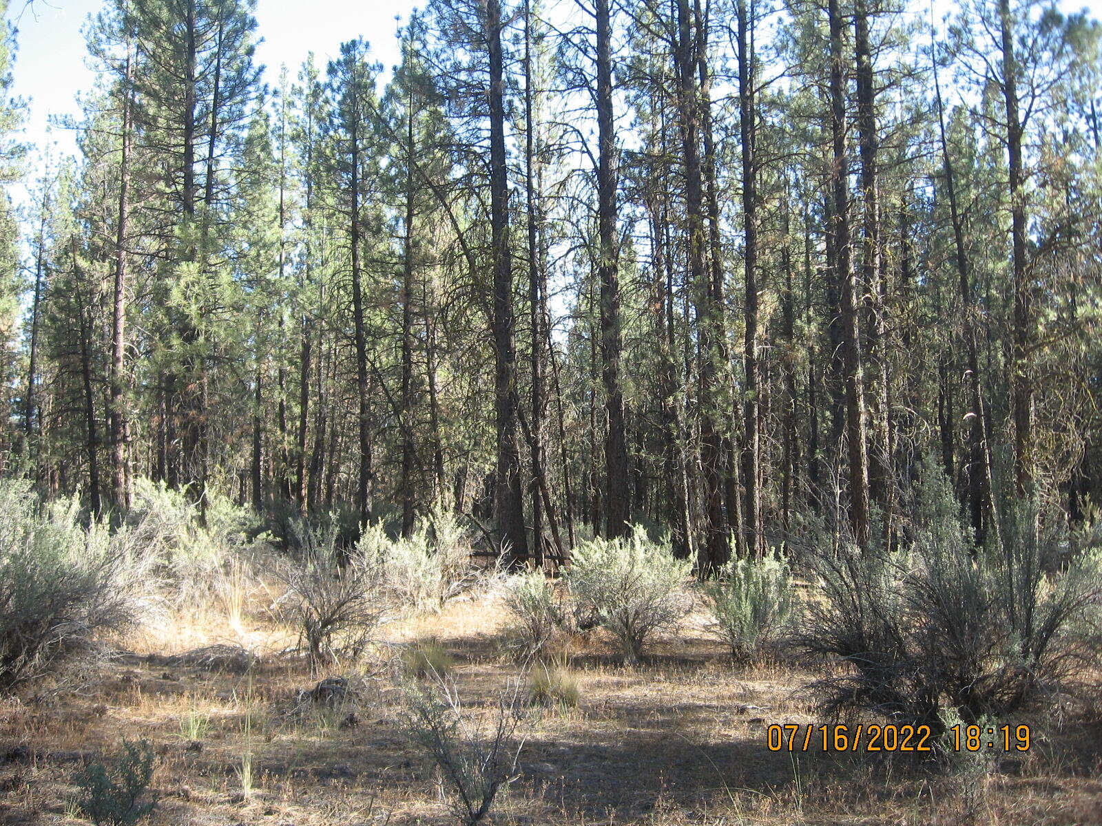 Klamath Forest Estates - Land