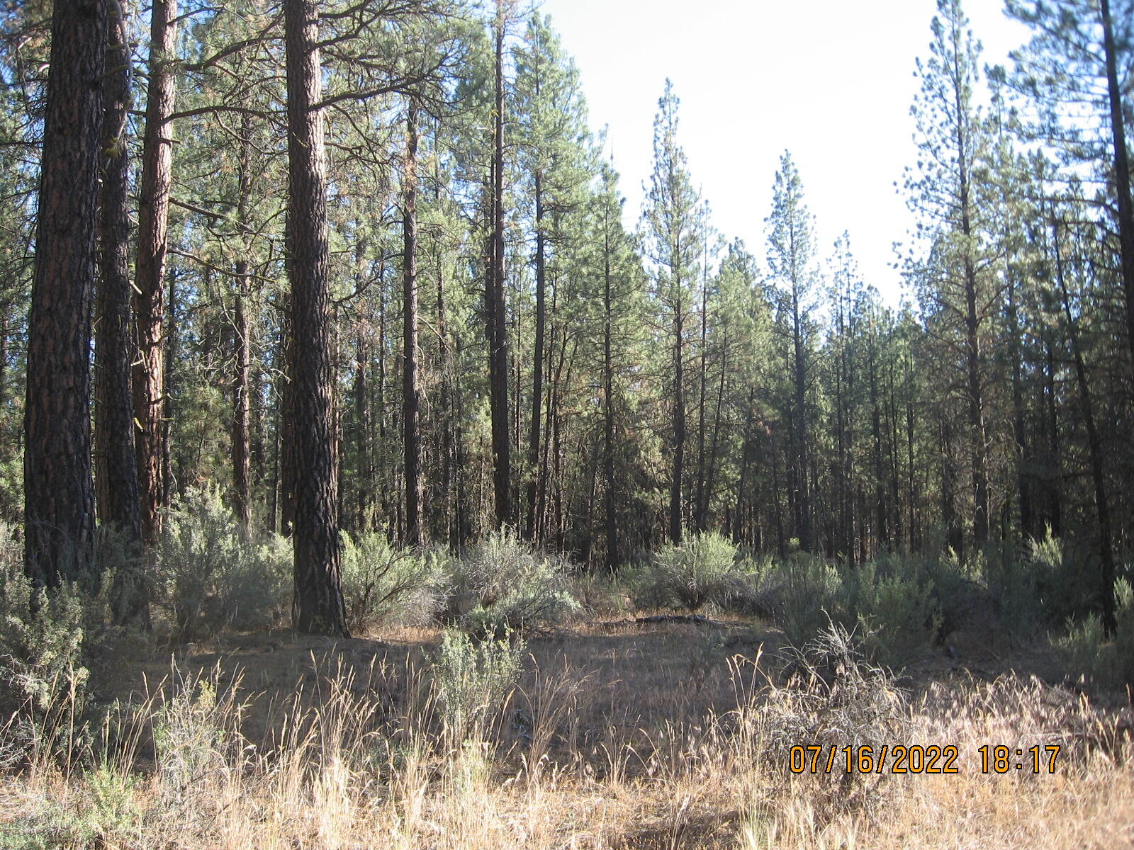 Klamath Forest Estates - Land