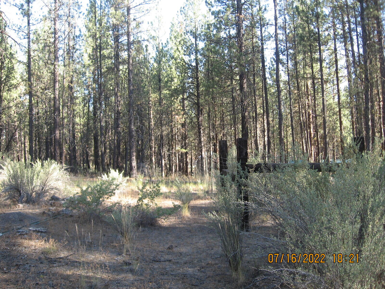 Klamath Forest Estates - Land