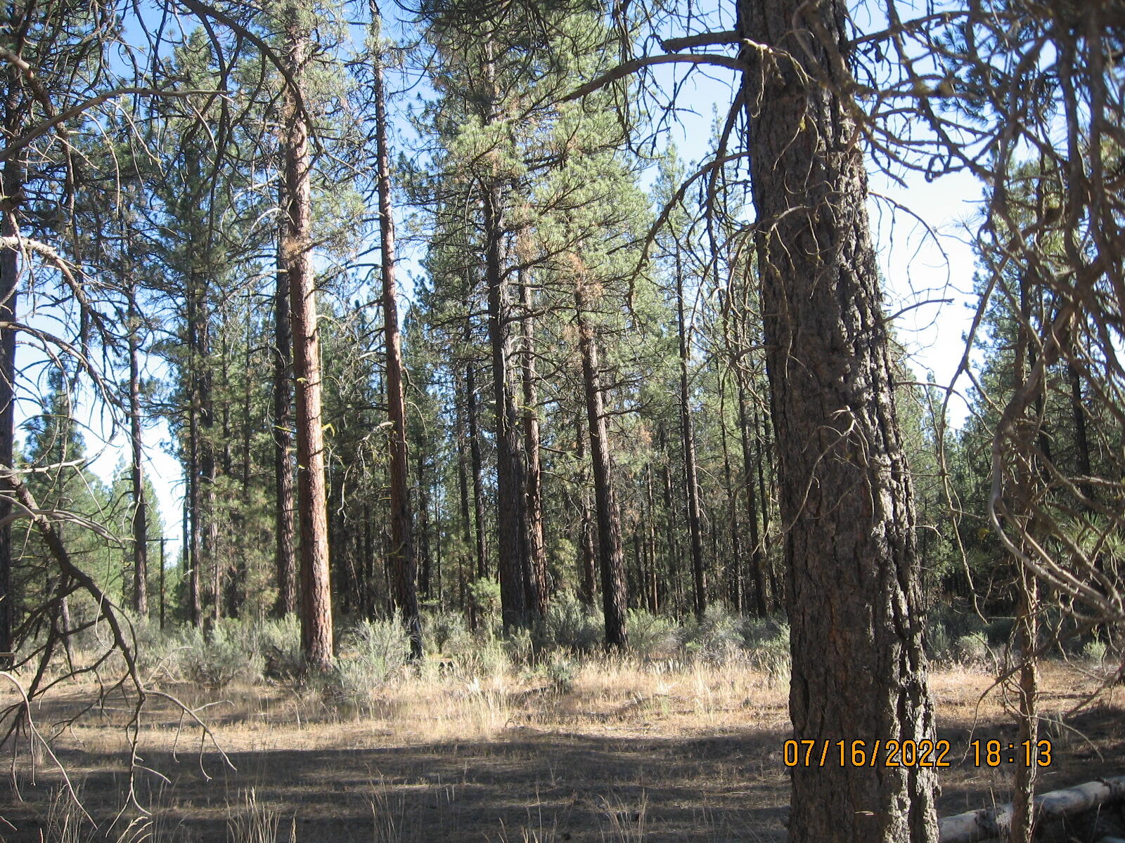 Klamath Forest Estates - Land