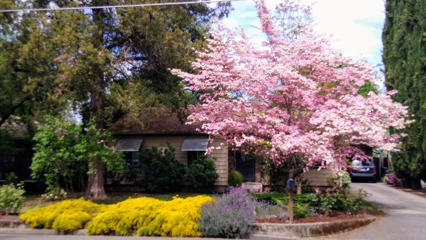 Gardeners delight...your own private park....in your backyard!  Nicely landscaped backyard with a variety of flowers, garden area, fruit trees, berries, pond & covered patio to relax.   Lovely home with 3 bdms, 1 ba and a detached ADU.  Studio type living quarters with kitchenette & bath.  Fully fenced backyard, tool shed, small shop, detached utility room w / lots of storage.  Fireplace in home with natural gas heater to heat the whole home, very cost efficient. Large kitchen w / lots of cabinets for storage.  New roof and HVAC unit repair/replaced (currently not working) with acceptable offer.  1 yr Fidelity Home Warranty