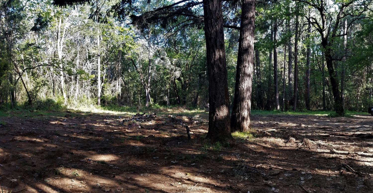 Merlin Townsite - Land