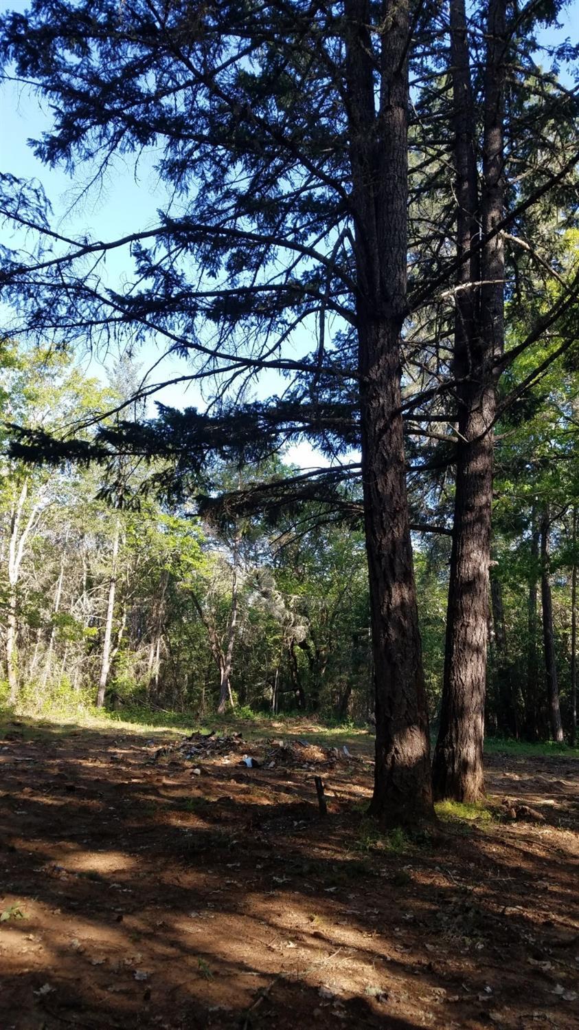 Merlin Townsite - Land