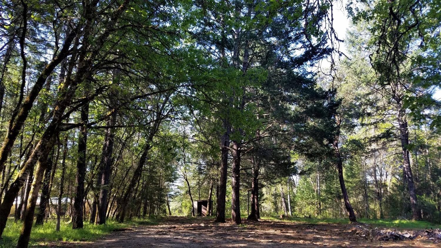 Merlin Townsite - Land