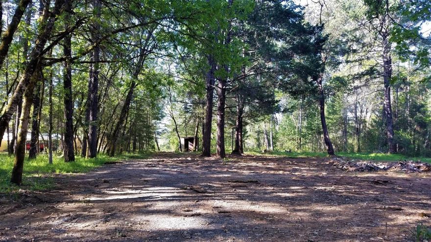 Ready for your new home! The 1975 MH was removed and home site scraped. The improved wooded property has a rustic well house with pressure tank, a 3.5 gpm flow & electricity to the site. Installed septic is located towards front/right of the lo, was recently pumped/inspected and drain field repaired. All you need is a new home to plant here and the rest is up to you! Seller will add 2000 glln in ground holding tank with full price offer.  Buyer to perform own due diligence as to potential uses of this property & status of home site approval.
