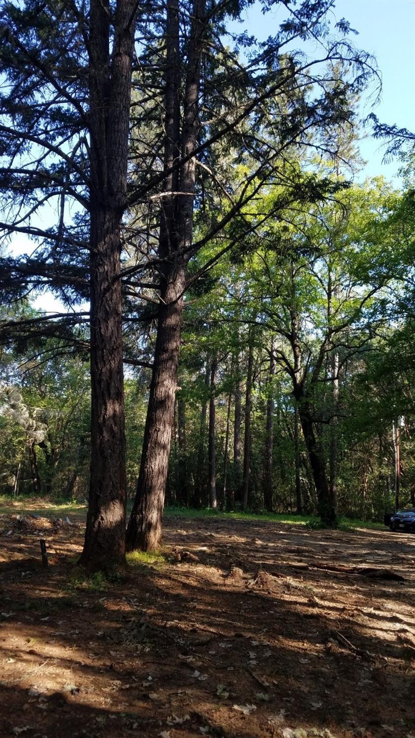 Merlin Townsite - Land