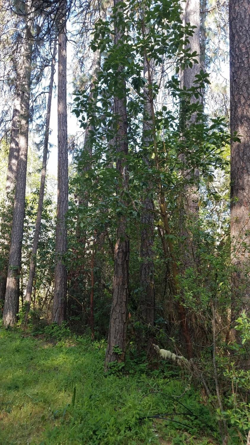 Merlin Townsite - Land