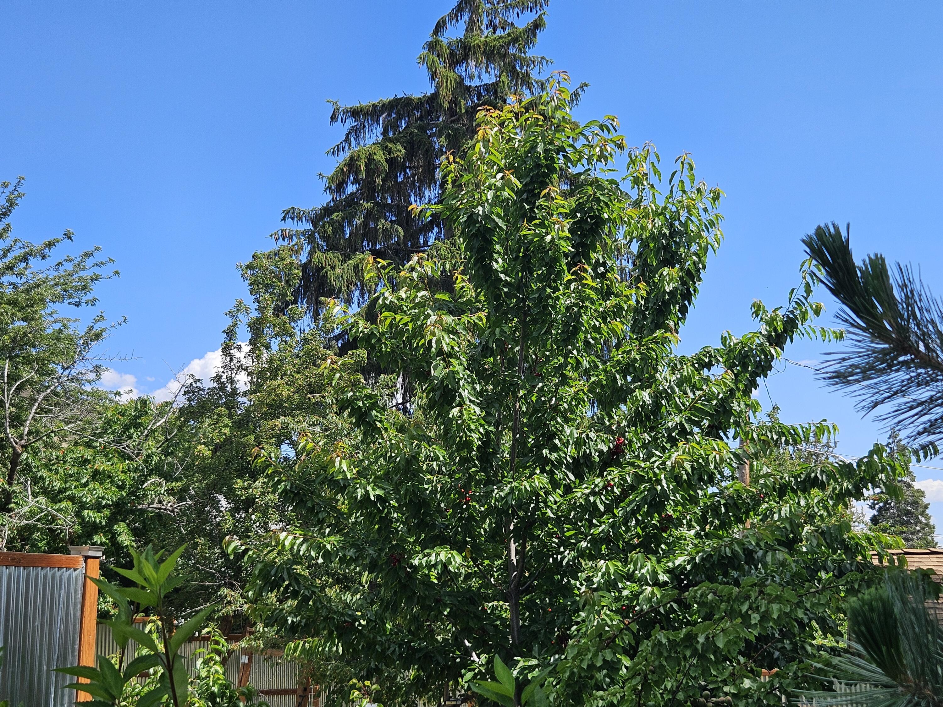 Klamath Falls -Hillside Addition - Residential