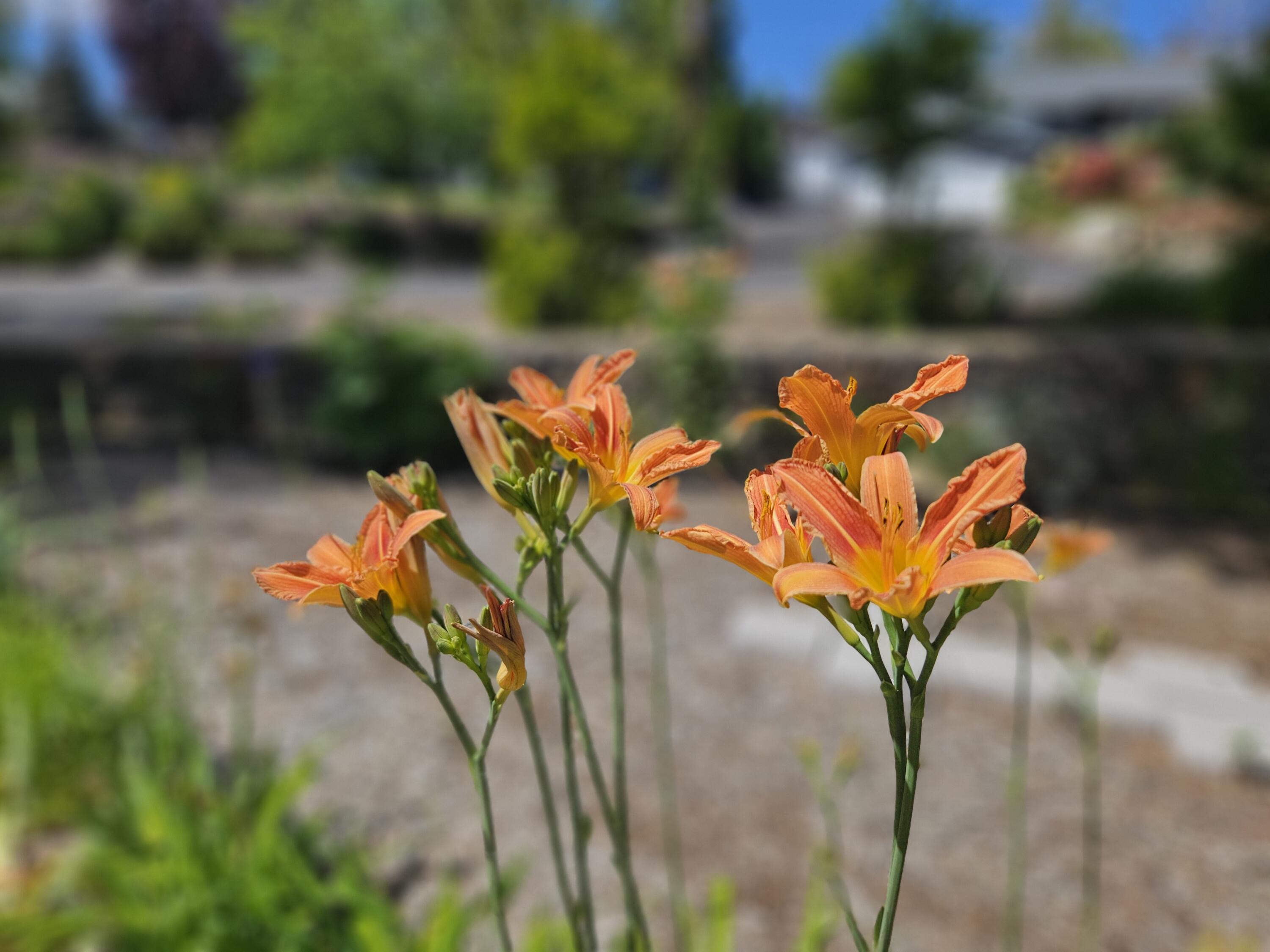 Klamath Falls -Hillside Addition - Residential