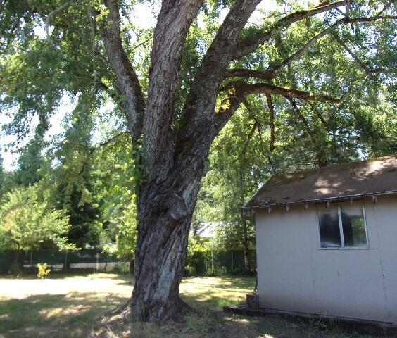 East Glide Subdivision - Residential