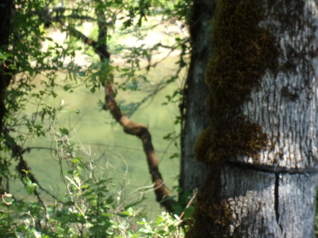 East Glide Subdivision - Residential