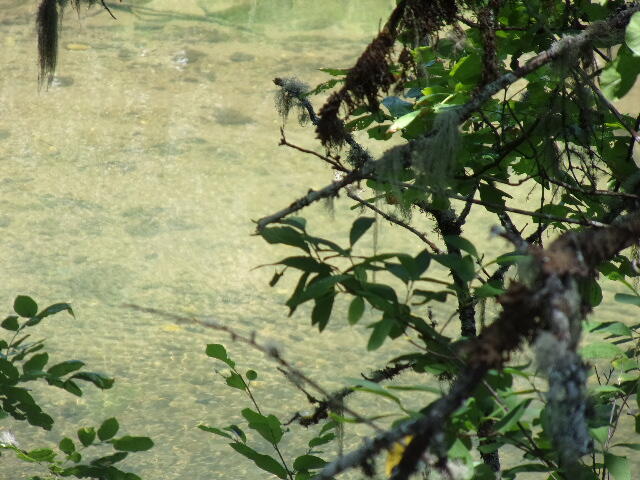 East Glide Subdivision - Residential