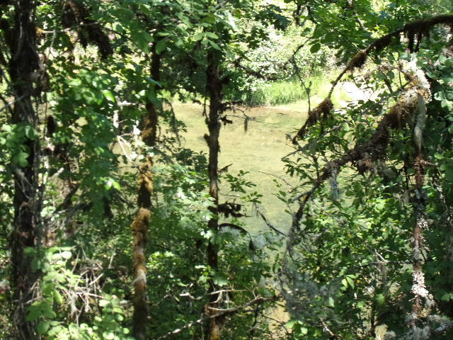 East Glide Subdivision - Residential