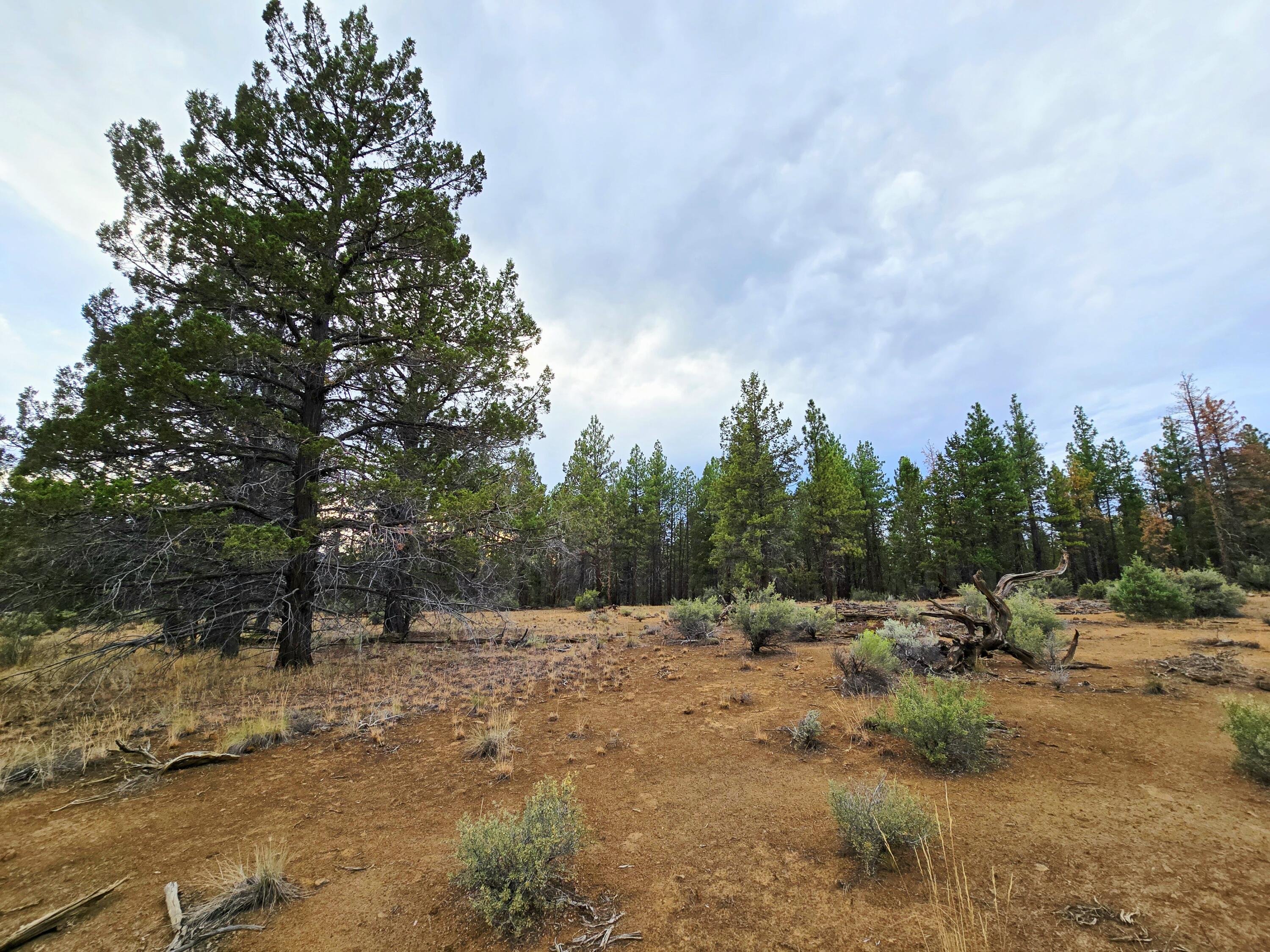 Klamath Forest Estates -First Addition - Land