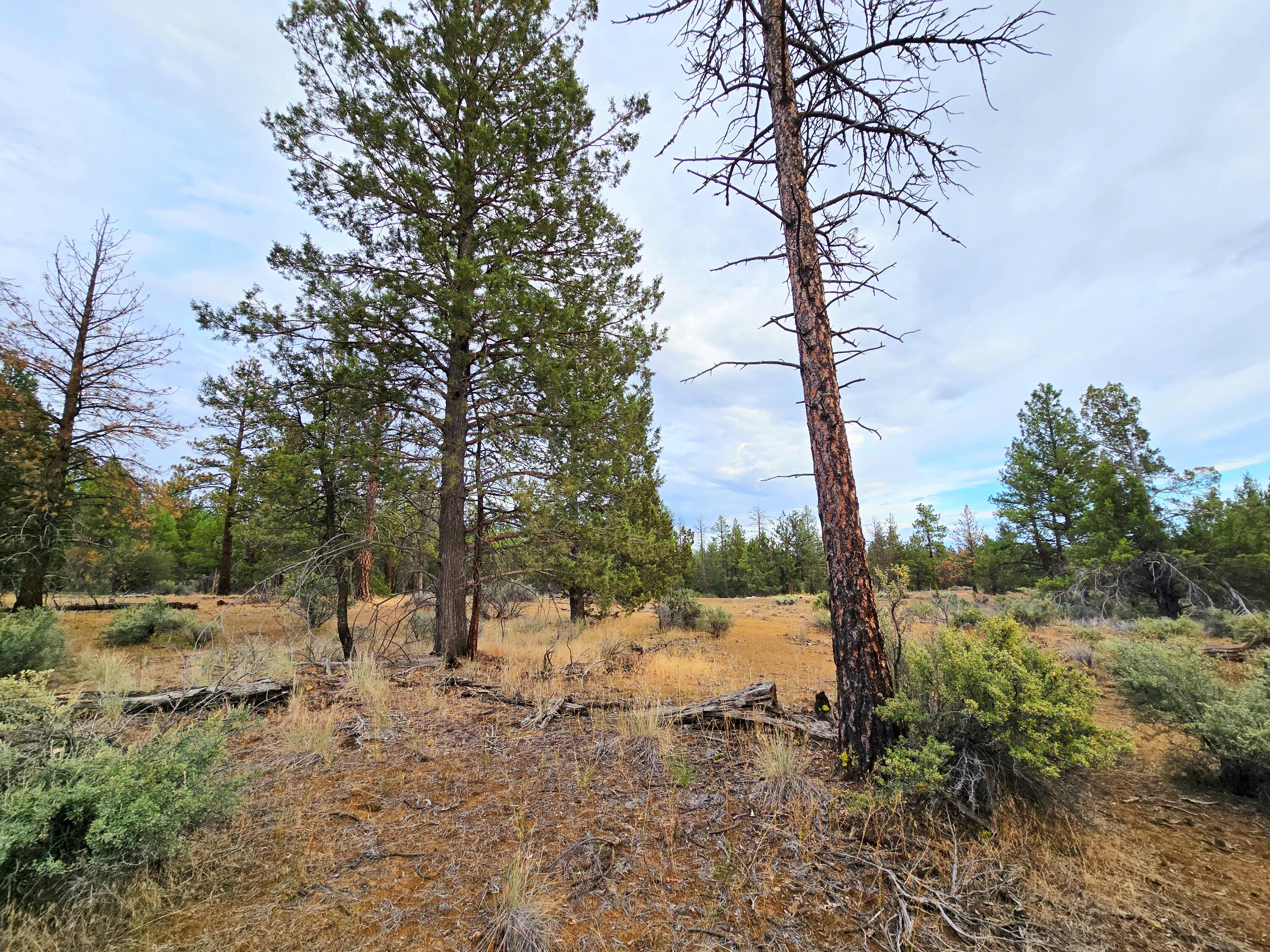 Klamath Forest Estates -First Addition - Land