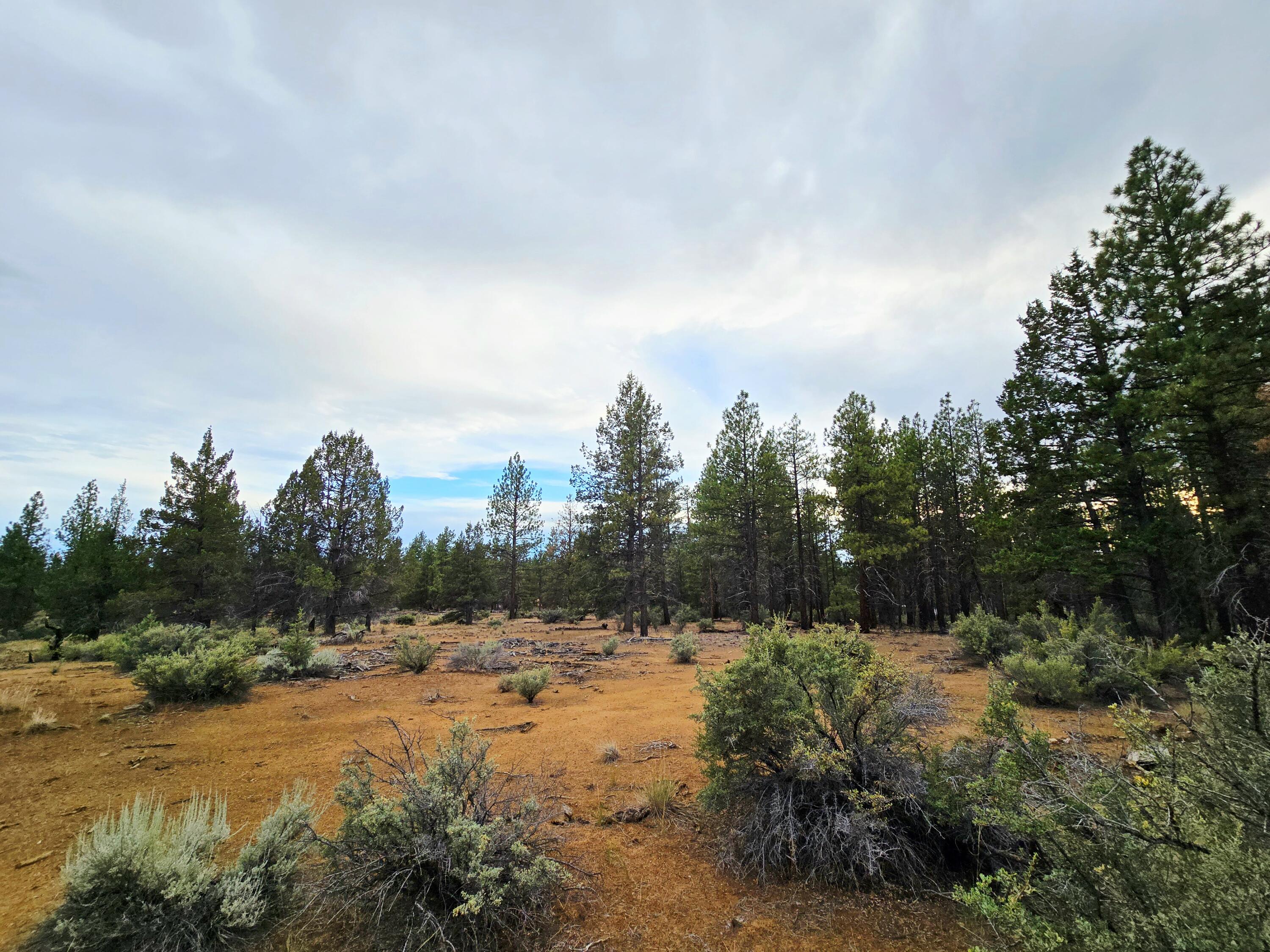 Klamath Forest Estates -First Addition - Land