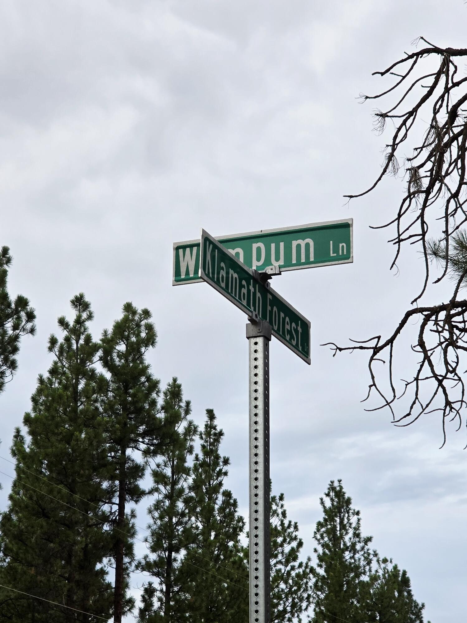 Klamath Forest Estates -First Addition - Land