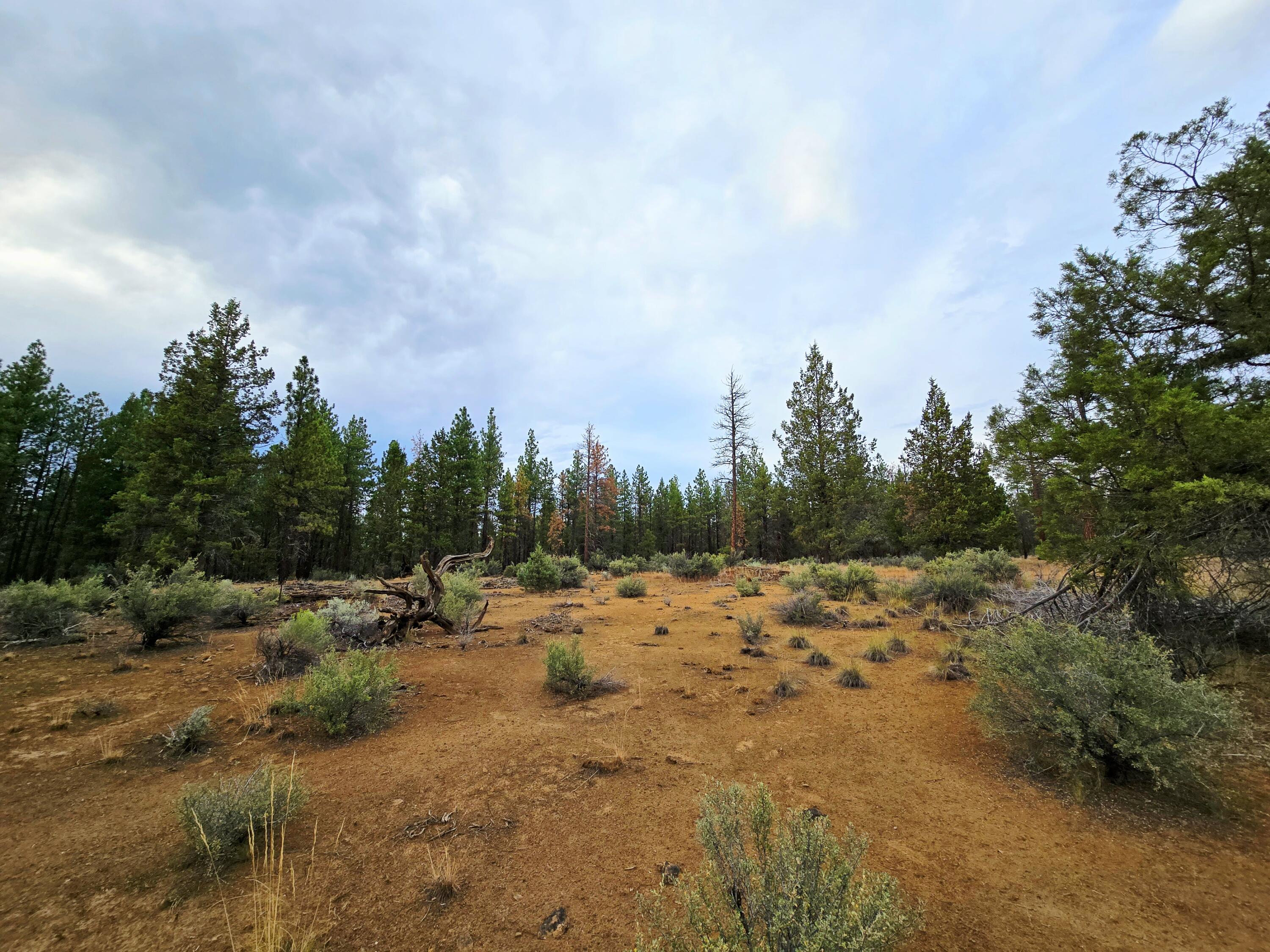 Klamath Forest Estates -First Addition - Land