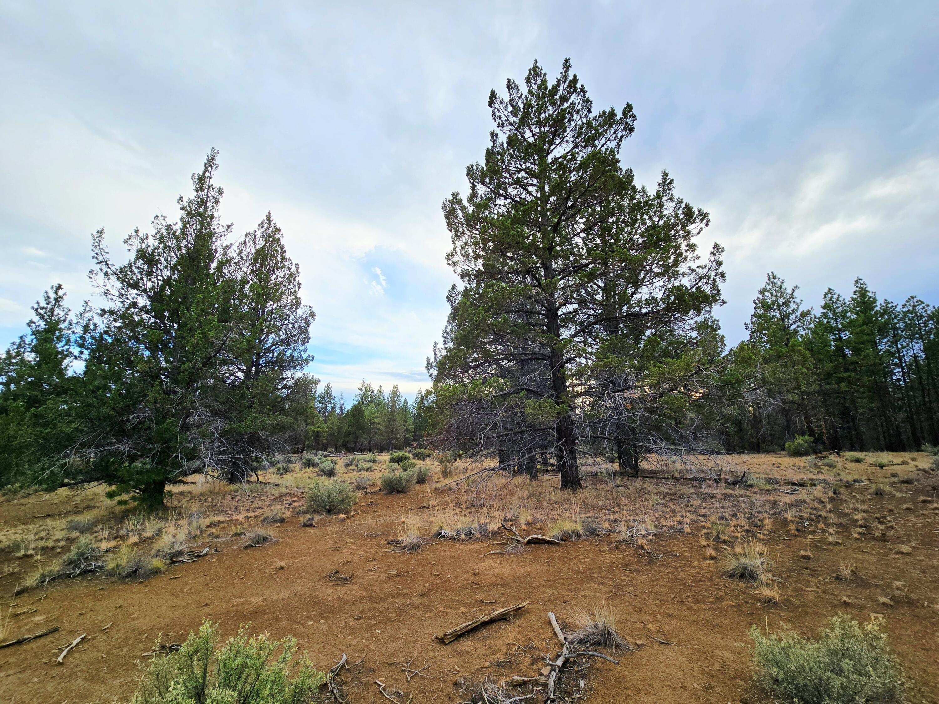Klamath Forest Estates -First Addition - Land