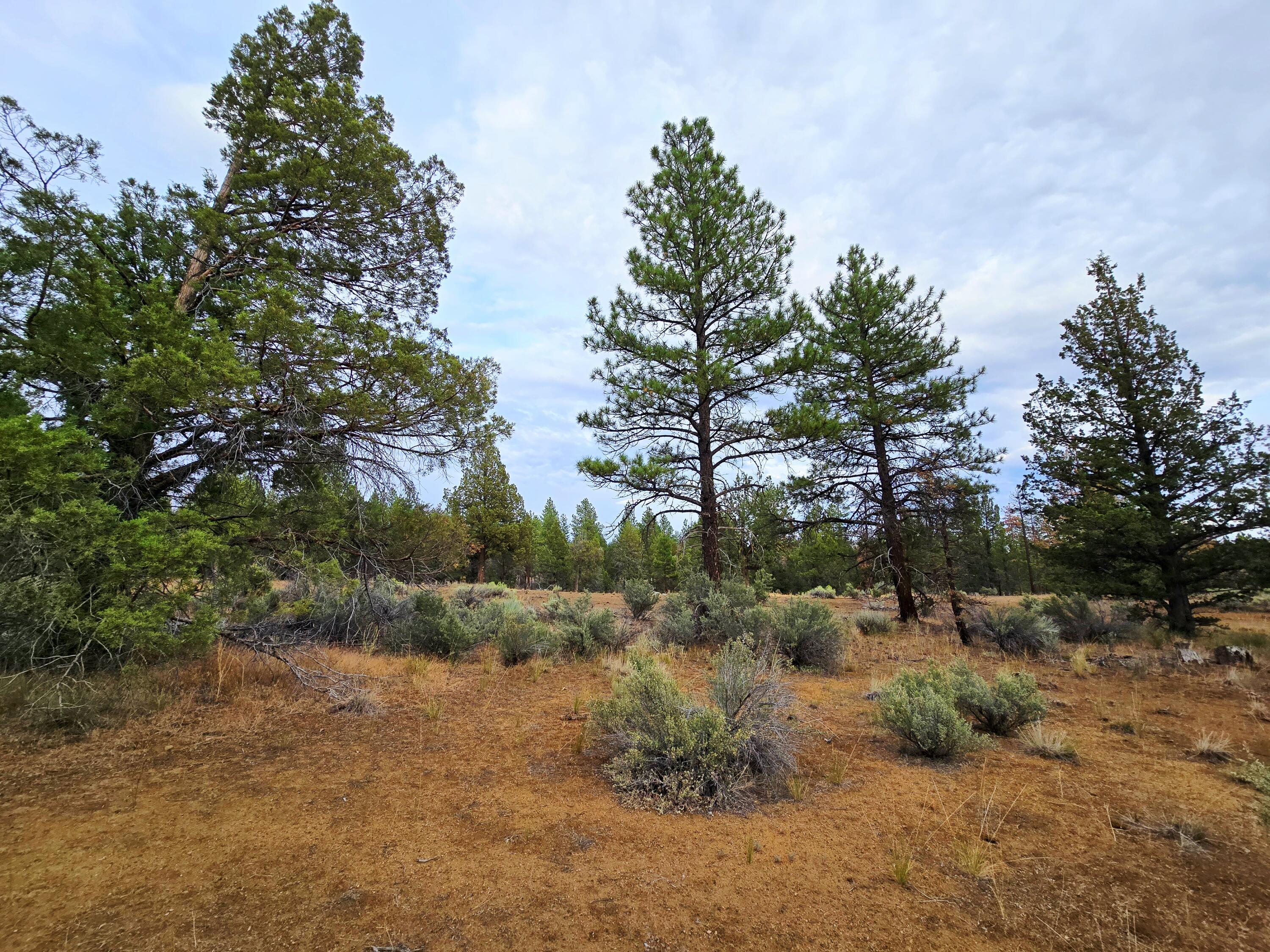 Klamath Forest Estates -First Addition - Land