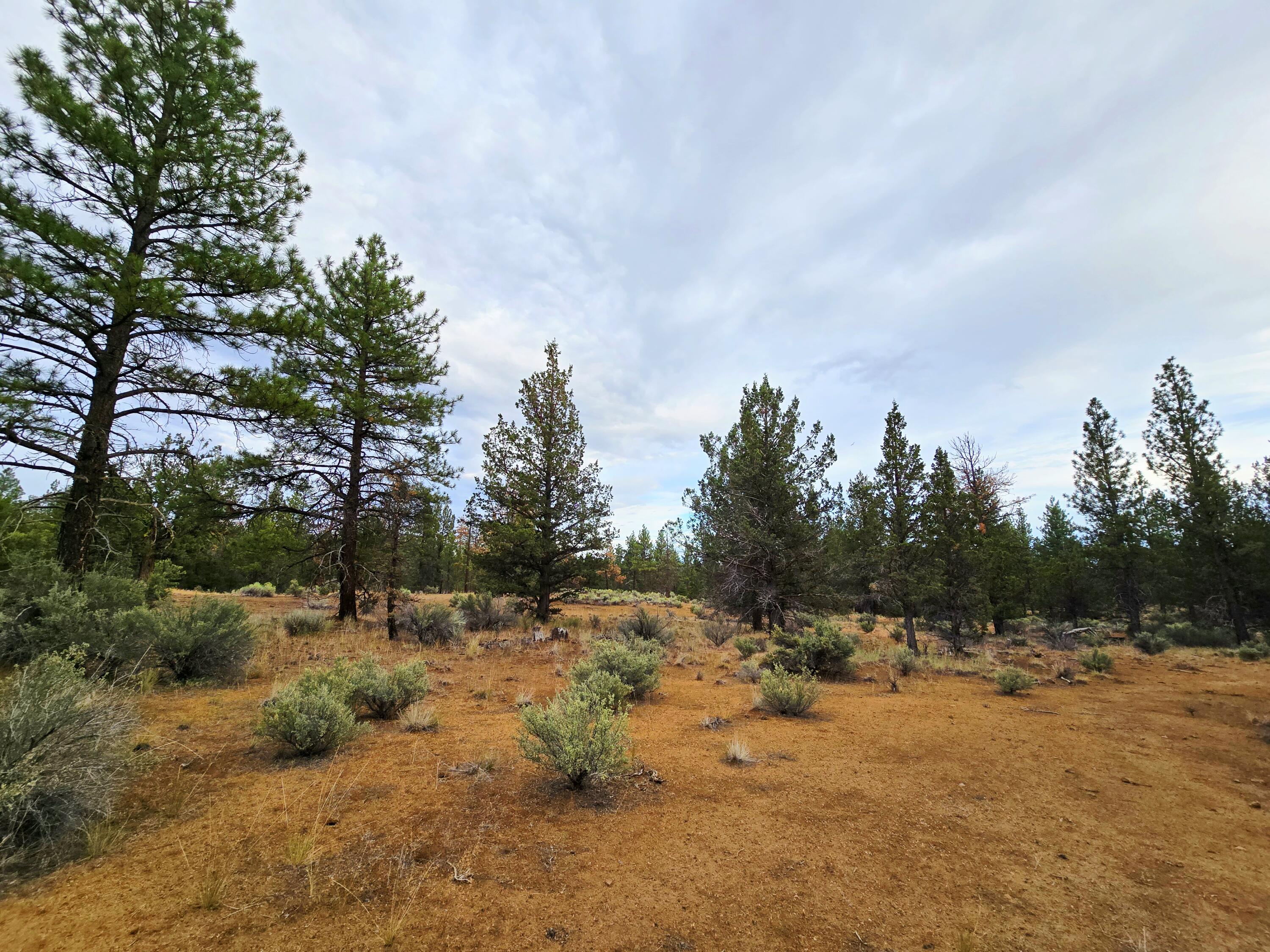 Klamath Forest Estates -First Addition - Land