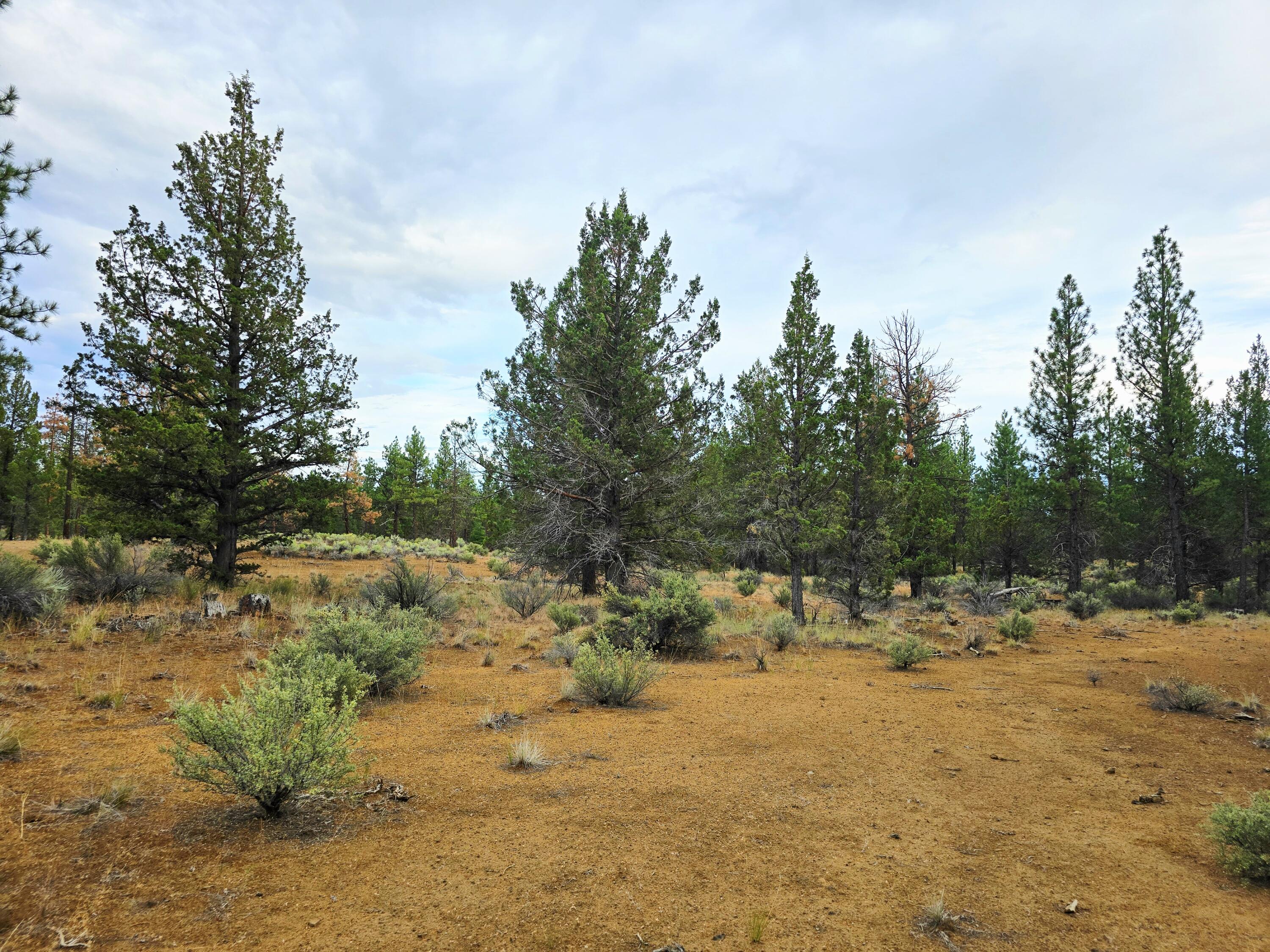 Klamath Forest Estates -First Addition - Land