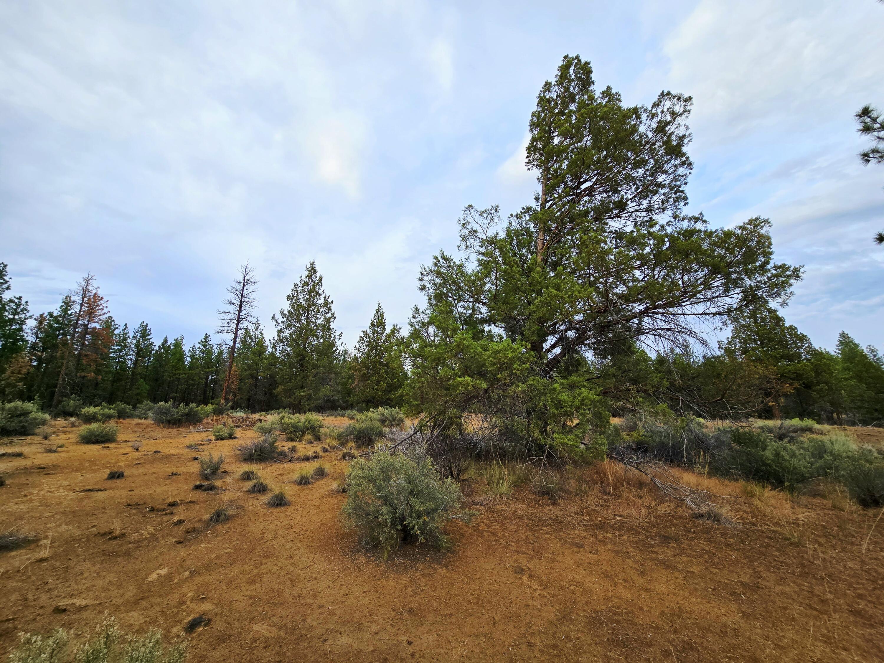 Klamath Forest Estates -First Addition - Land