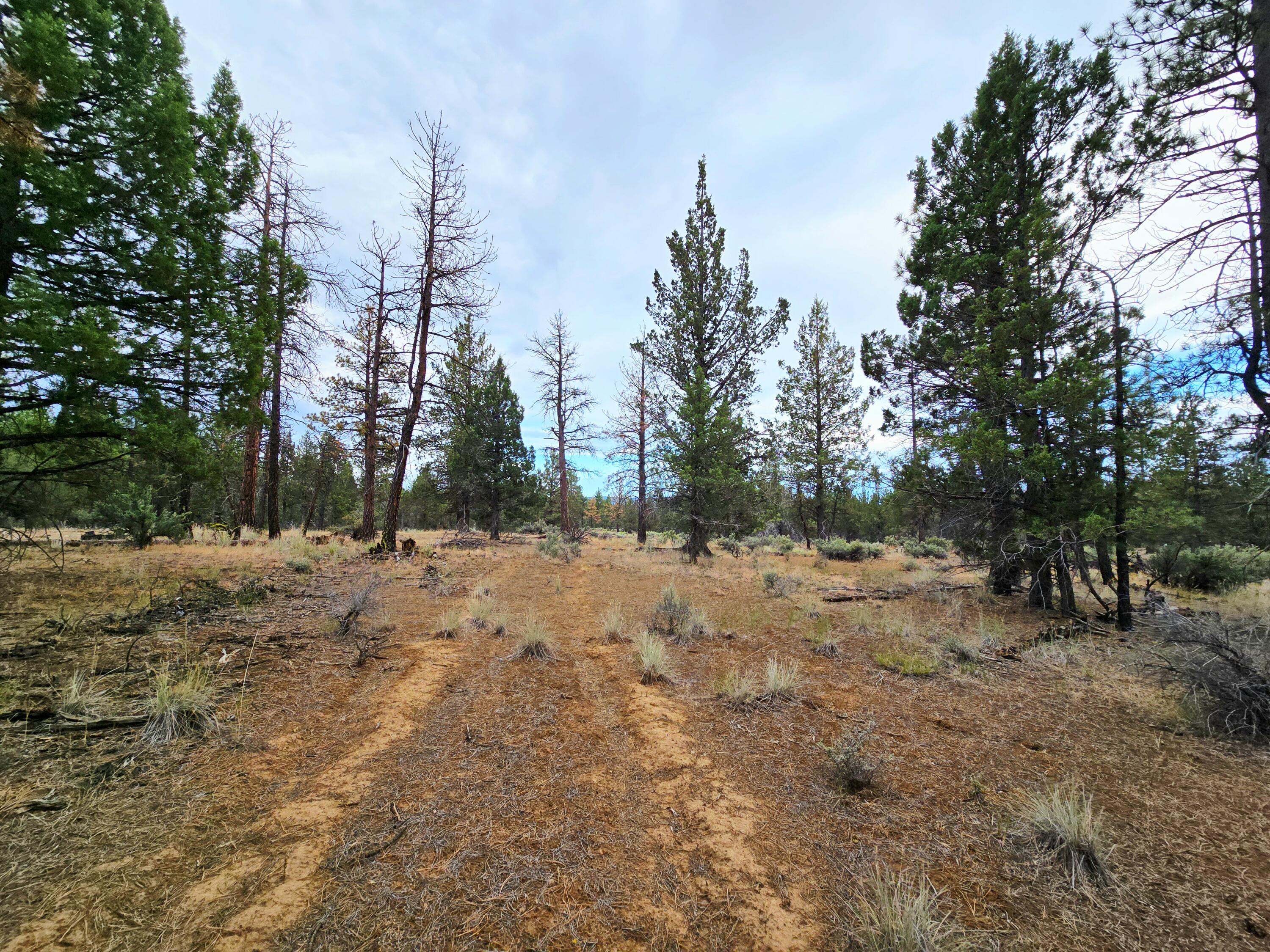 Klamath Forest Estates -First Addition - Land