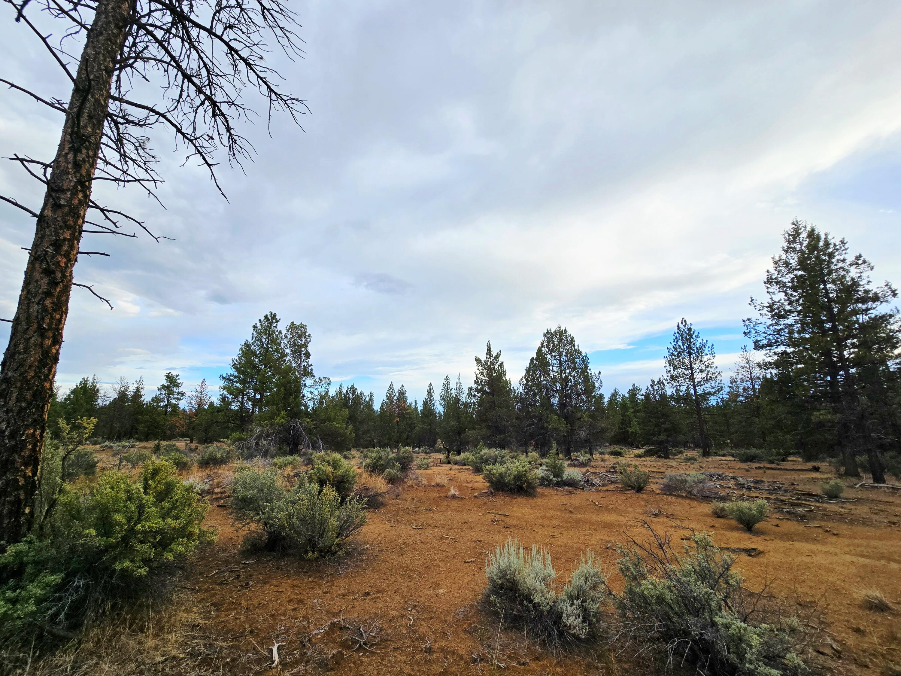 Klamath Forest Estates -First Addition - Land