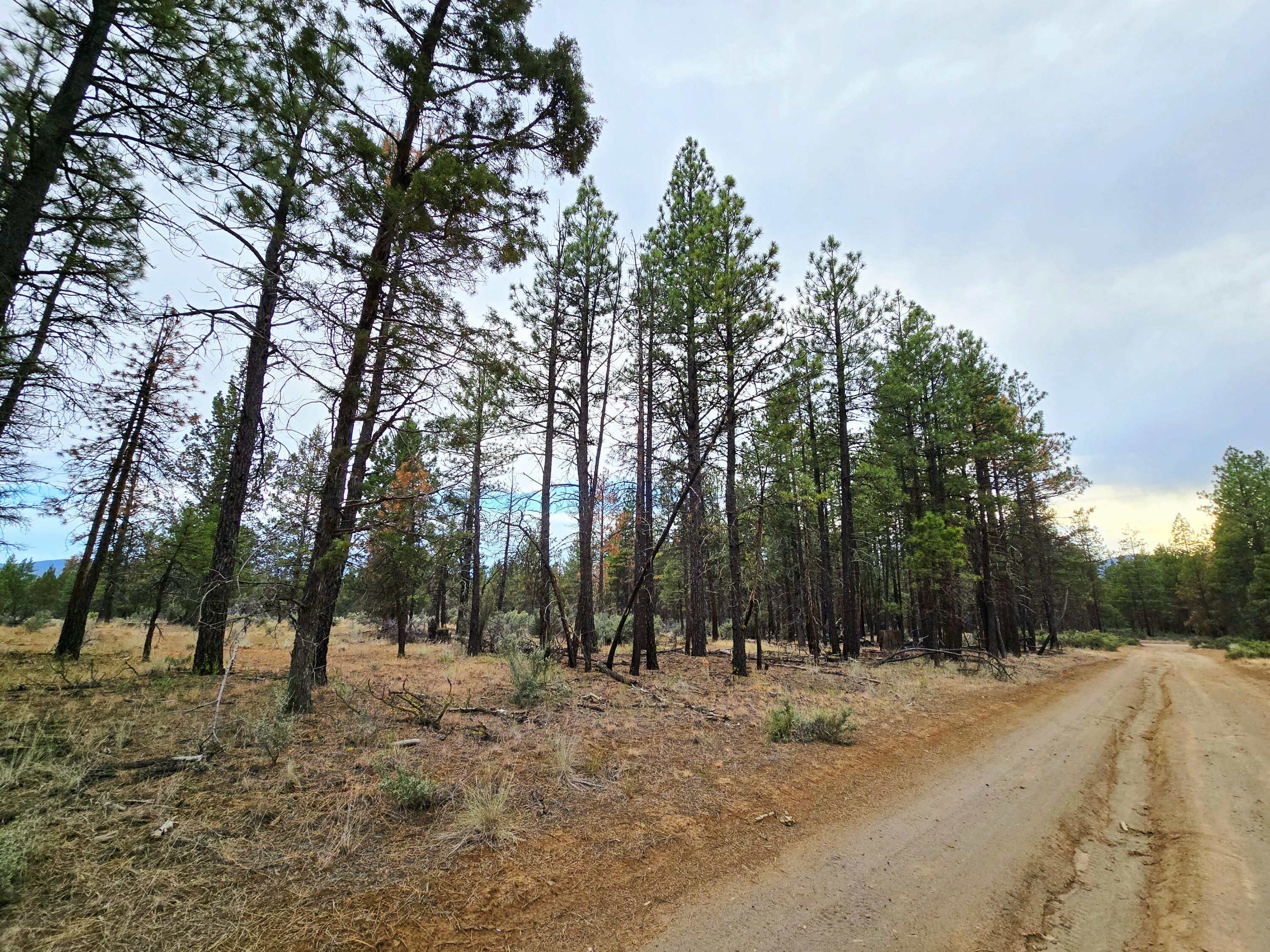 Klamath Forest Estates -First Addition - Land
