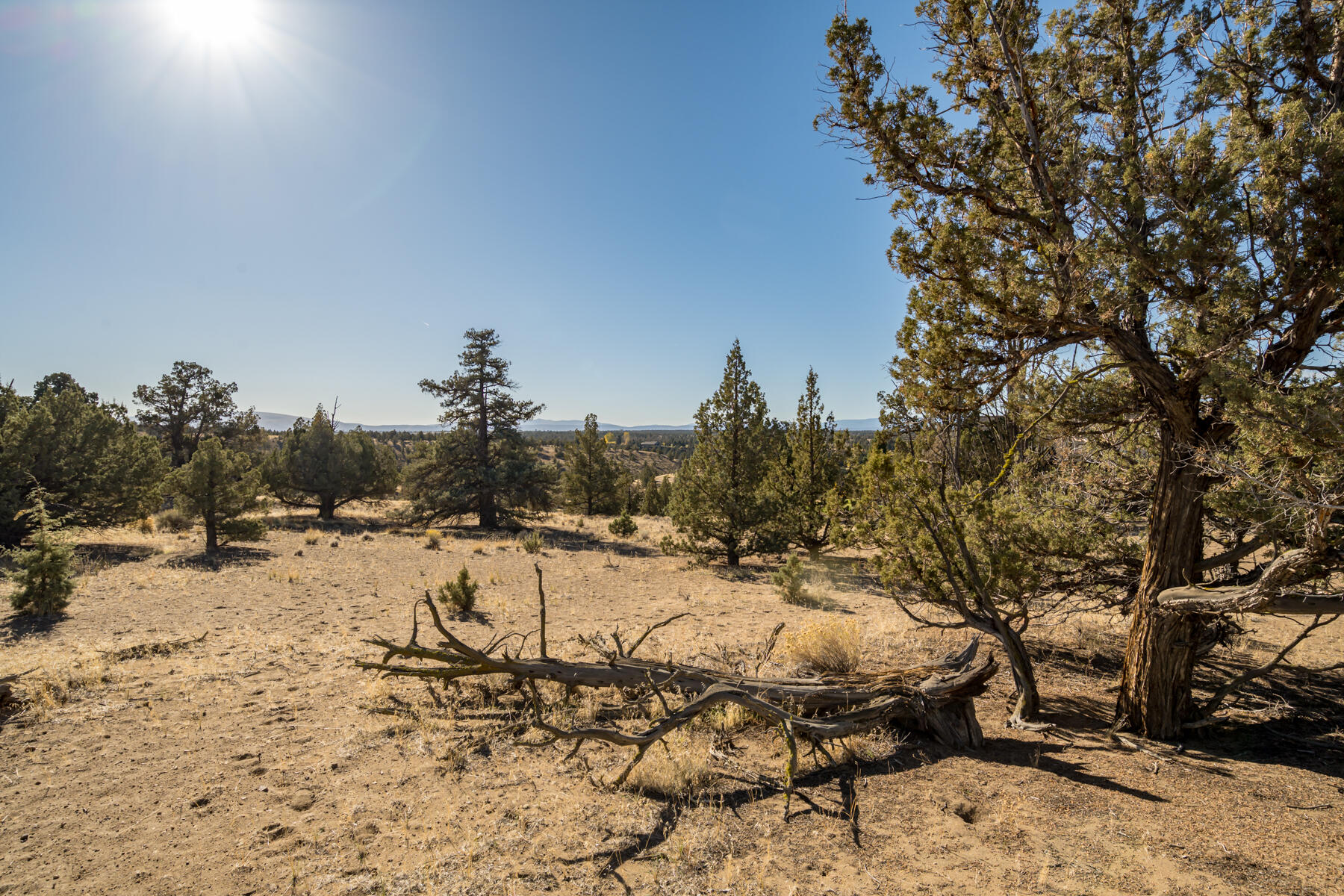 Brasada Ranch - Land