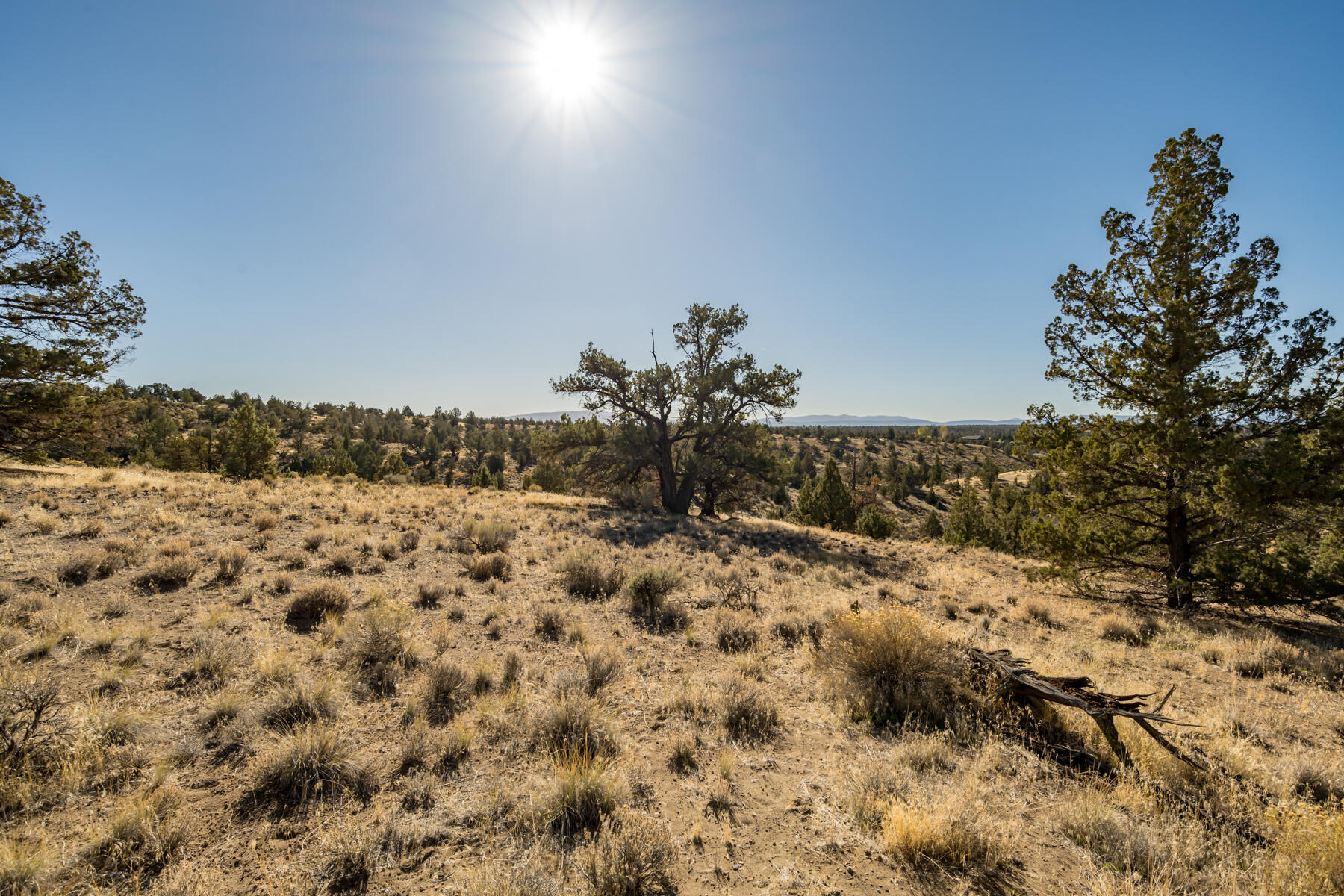 Brasada Ranch - Land
