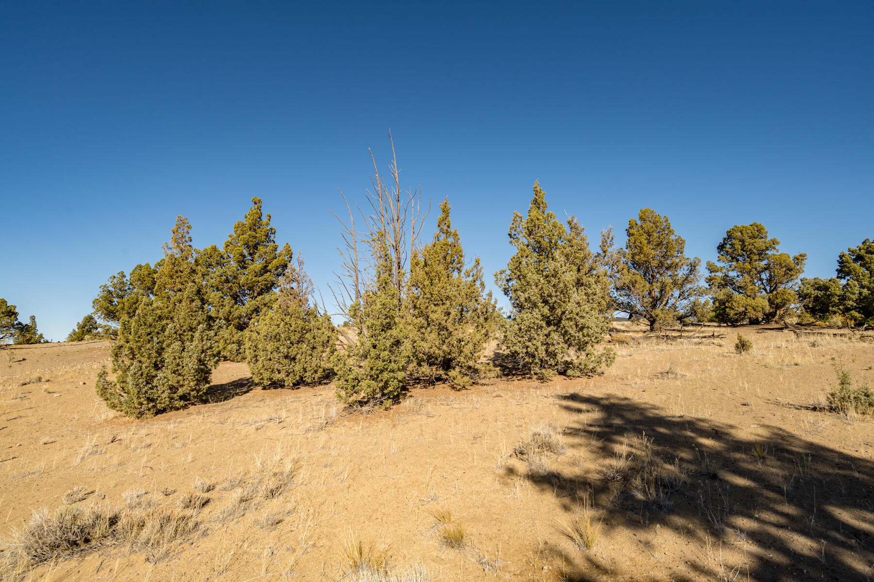 Brasada Ranch - Land