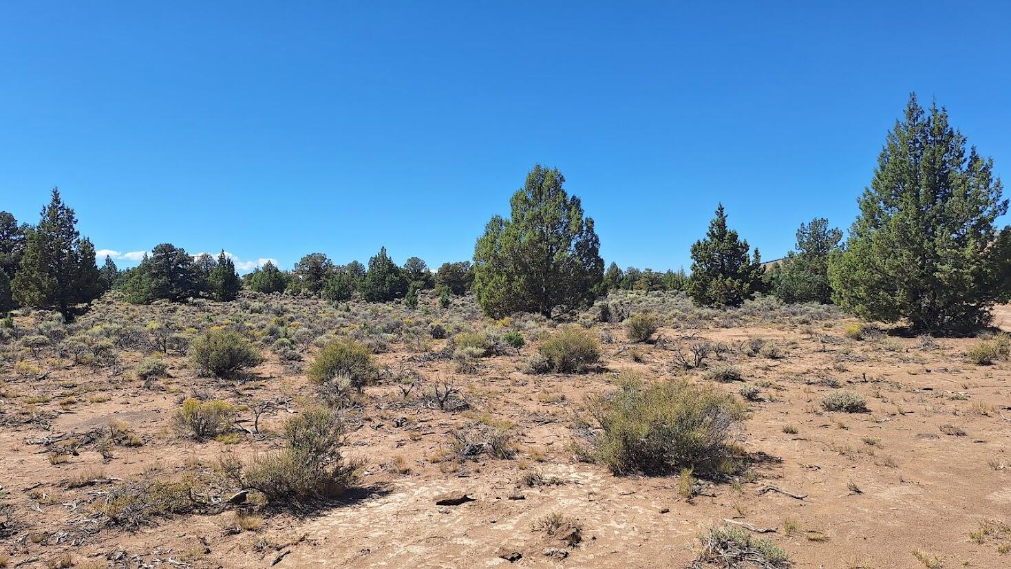 Golden View Ranch - Land