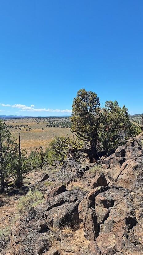 Golden View Ranch - Land