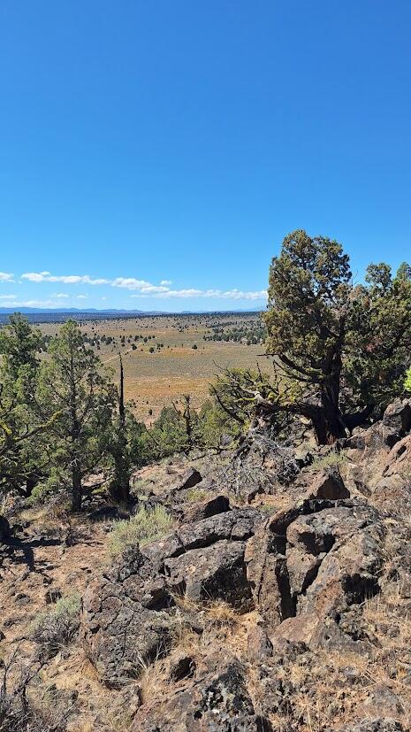Golden View Ranch - Land