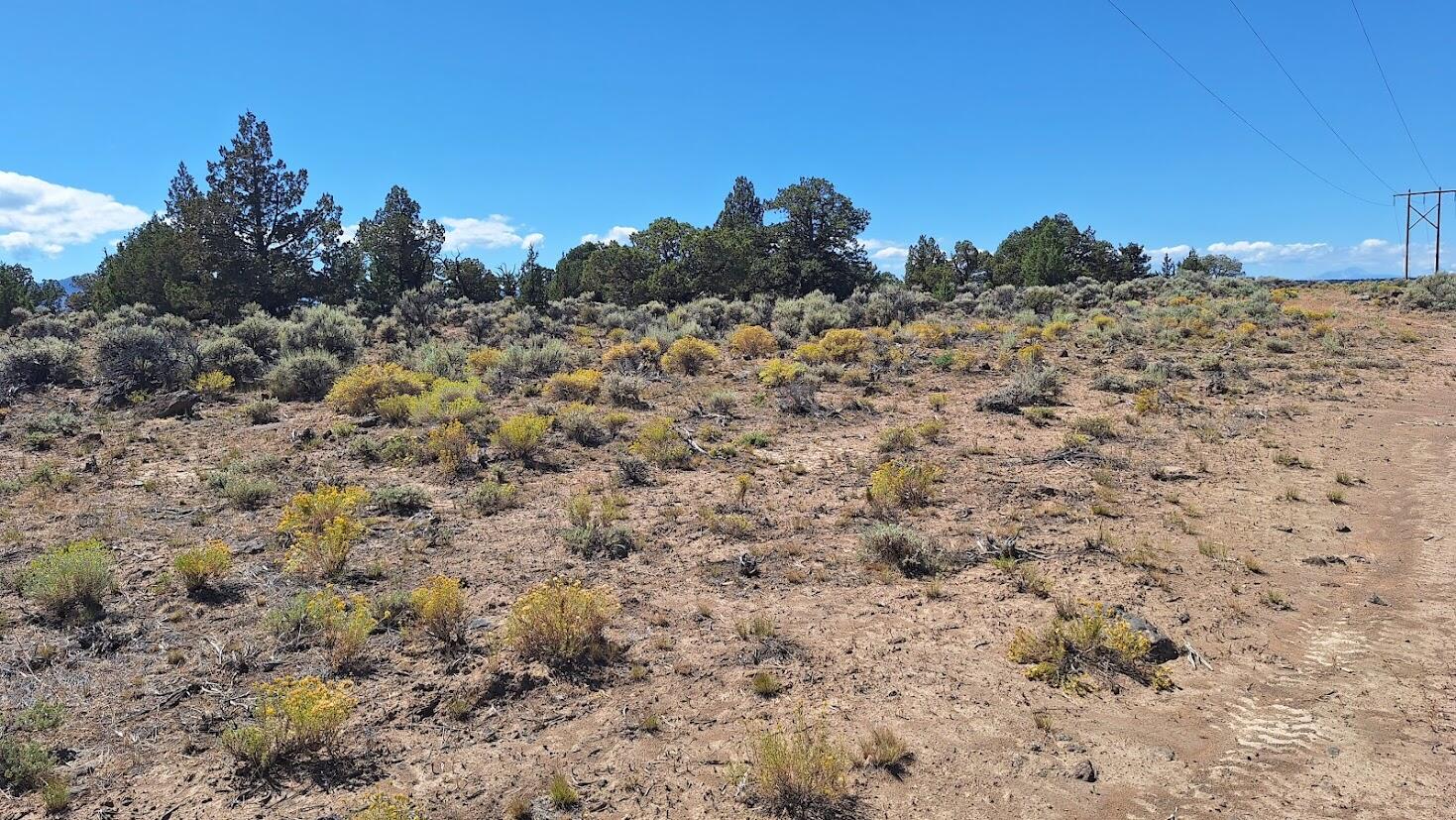 Golden View Ranch - Land