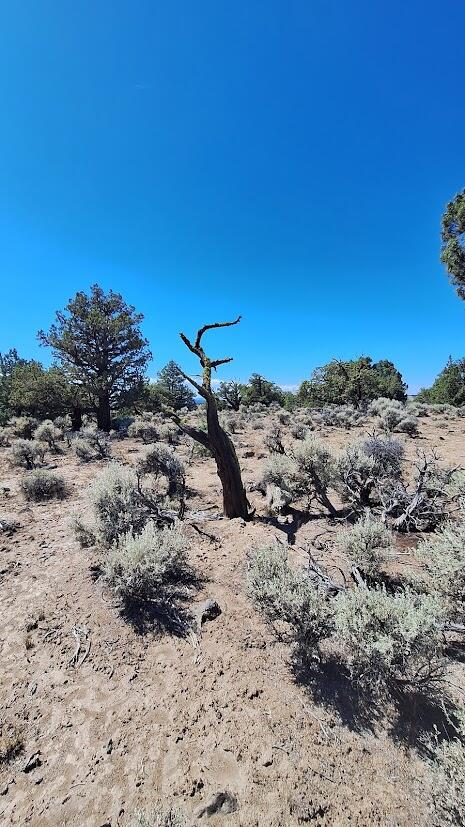 Golden View Ranch - Land